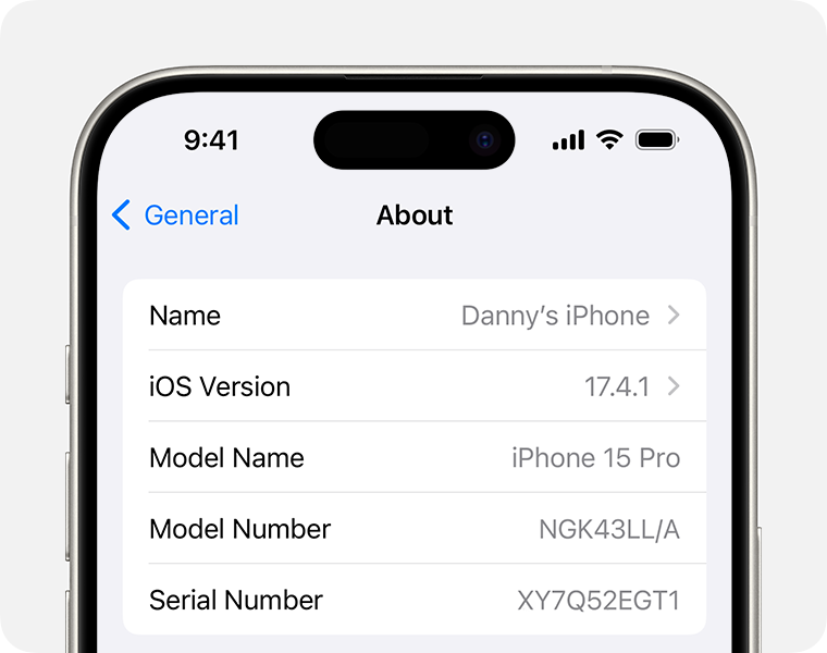 iphone settings general about