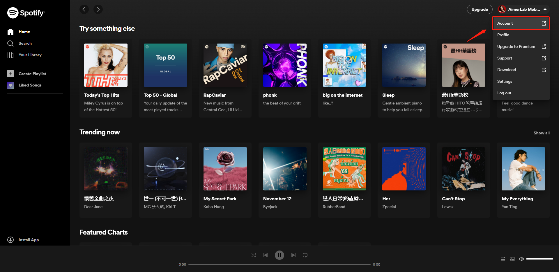 Pojdite na nastavitve računa Spotify